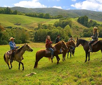 Passeggiate a cavallo