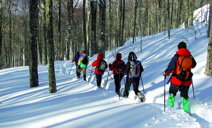 Amiata Escursione con le ciaspole