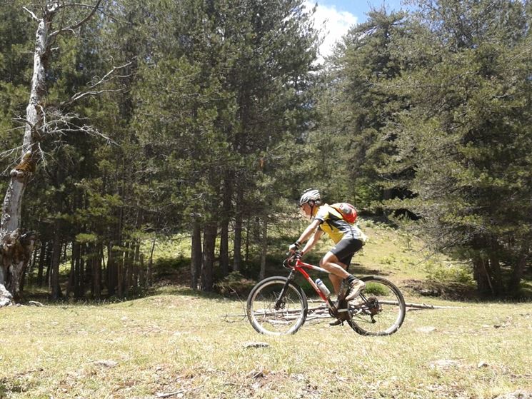 percorso per mountain bike