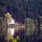 panoramica della Foresta Nera