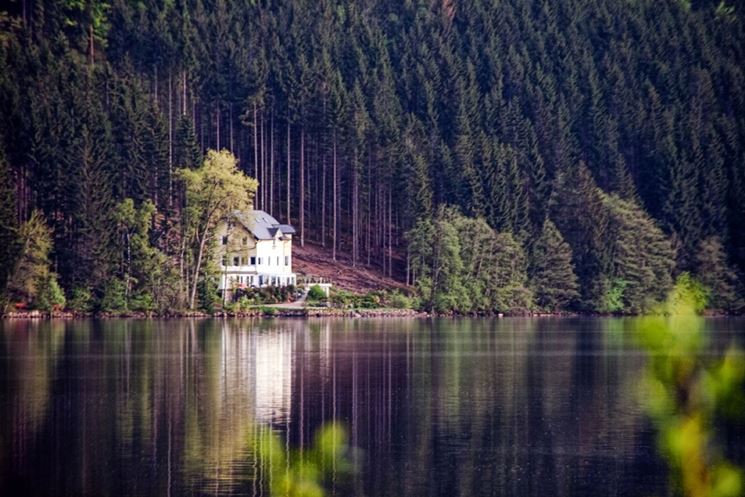 panoramica della Foresta Nera