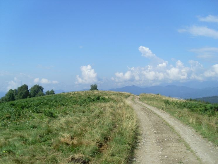 sentieri presenti nel percorso