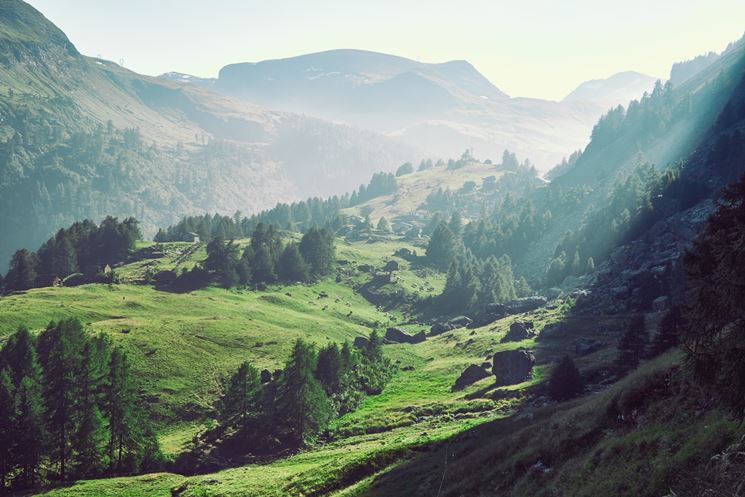 verde vallata e i pascoli di Champorcher