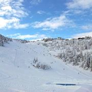 piste sono sempre affollate a Monte Bondone