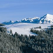 panoramica di Passo Brocon