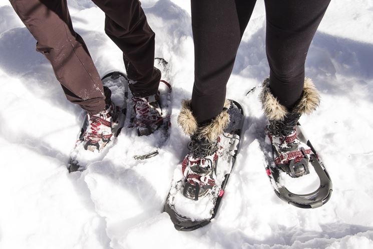 Due escursionisti con racchette da neve ai piedi