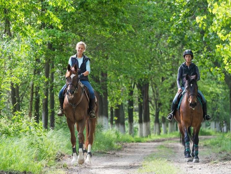 escursione a cavallo è un viaggio nella natura da raccontare