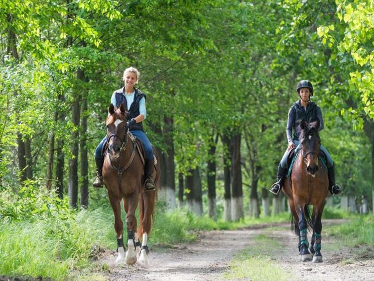 escursione a cavallo  un viaggio nella natura da raccontare