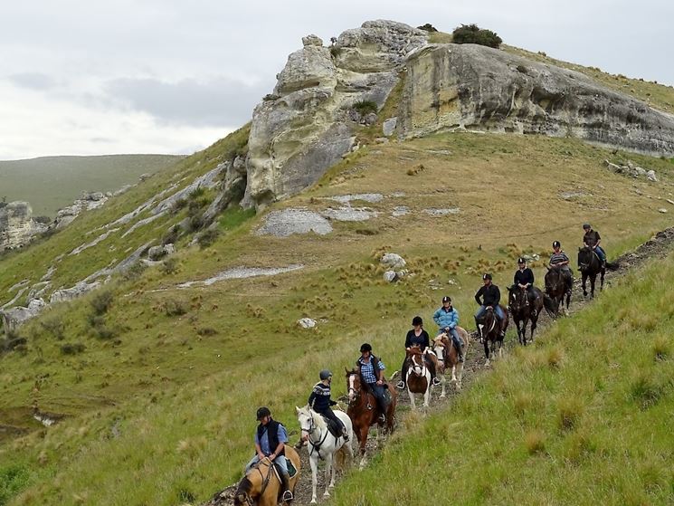 Dove fare passeggiate a cavallo