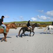 Passeggiare a cavallo significa vivere la natura