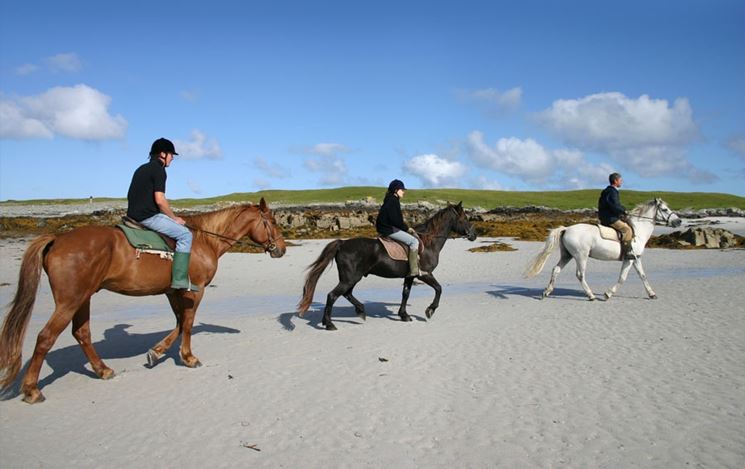 Passeggiare a cavallo significa vivere la natura