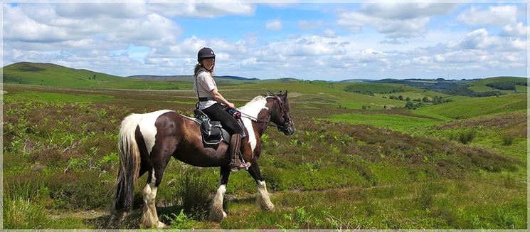 In sella ad un cavallo l'orizzonte sembra sterminato