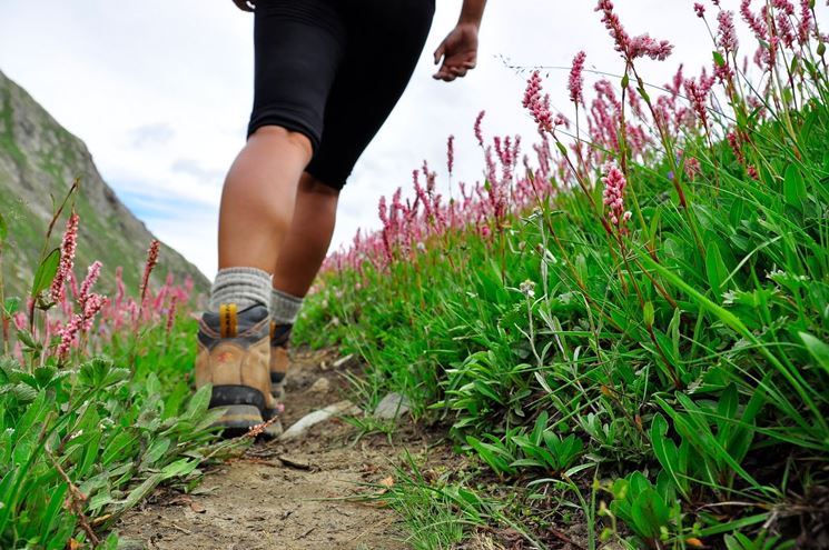 Scarpe da trekking