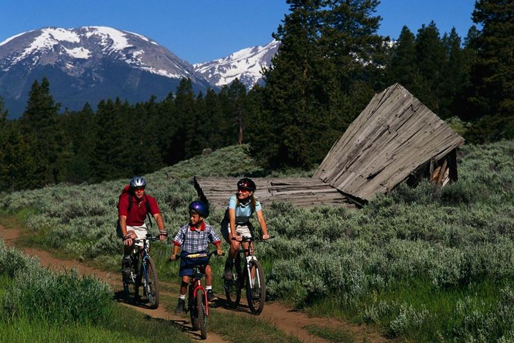  famiglia in bicicletta nel bosco